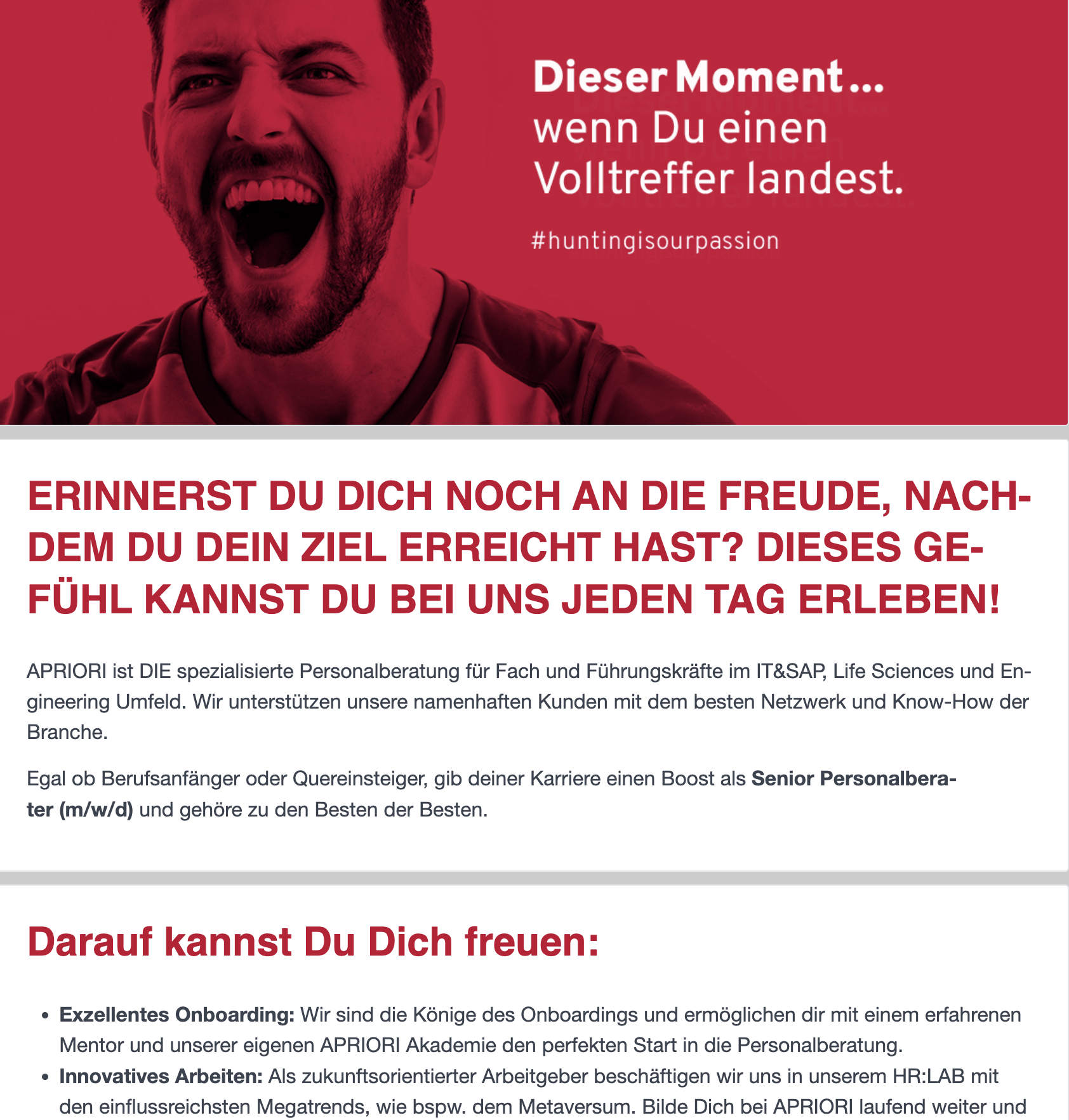 Beispiel Stellenanzeige 6